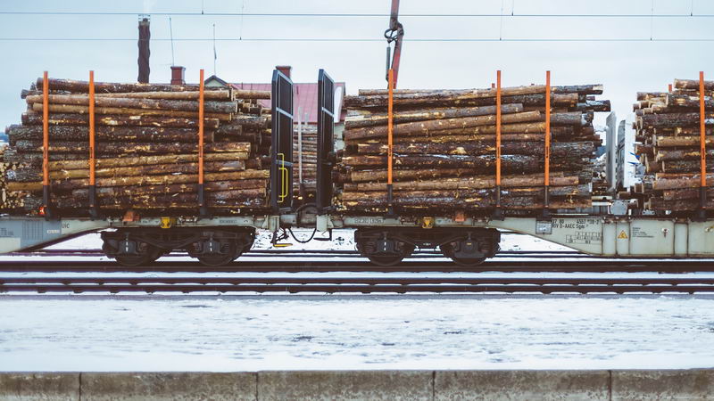 Forst-Transport zrywka drewna Żary