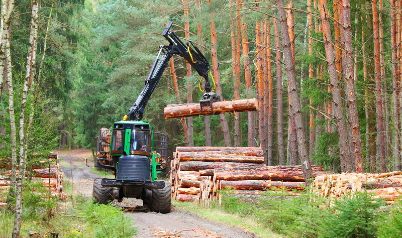 Forst-Transport zrywka drewna Żary
